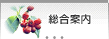 総合案内