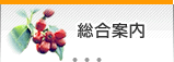 総合案内