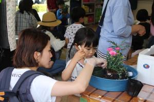 寄せ植えをする参加者