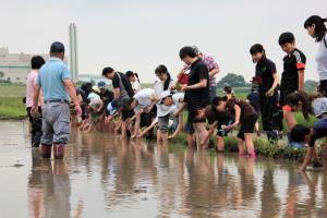 田植え