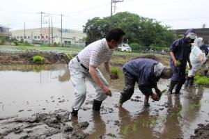 田植え