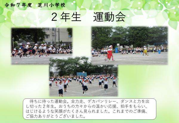 2年　運動会