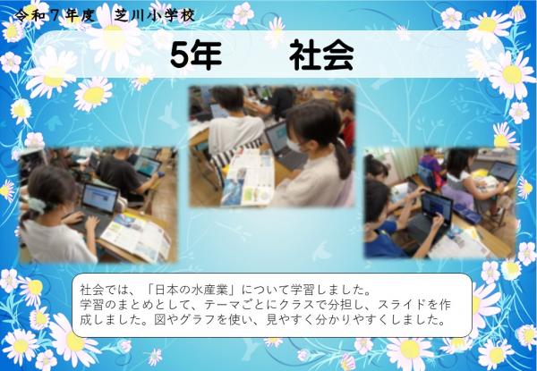 5年　社会