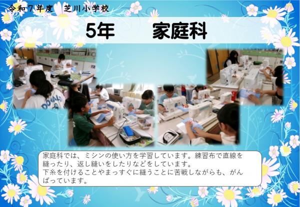 5年　家庭科