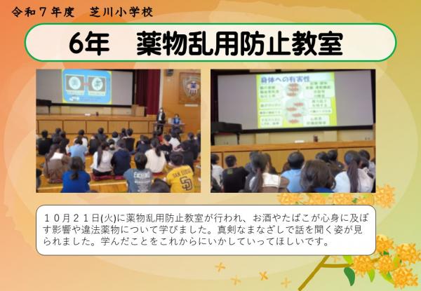 6年　薬物乱用防止教室