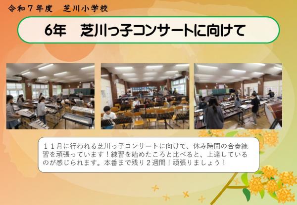 6年　コンサート