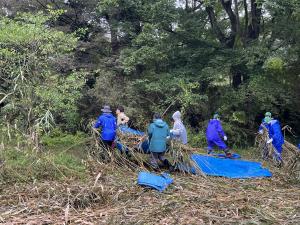 サラソウトラスト地保全活動