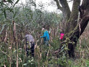 サラソウトラスト地保全活動