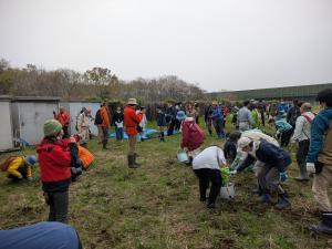 保全活動の様子