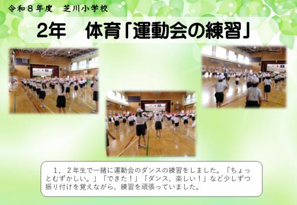 2年　体育