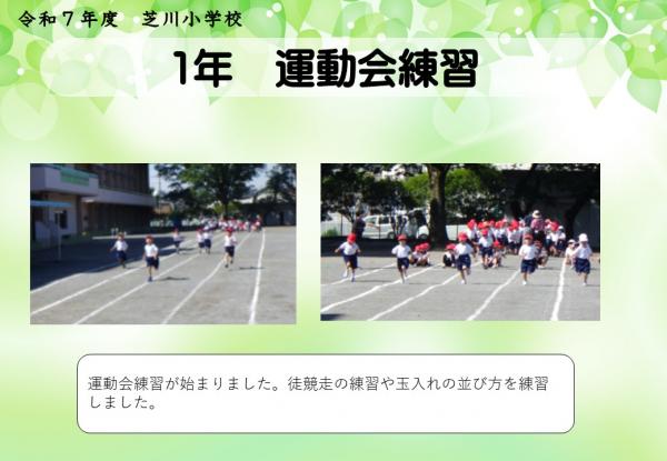 1年　運動会練習