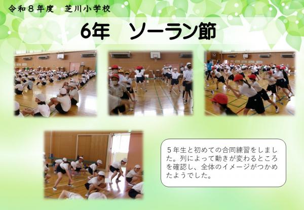 6年　ソーラン