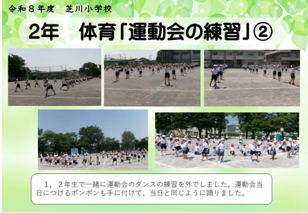 2年　体育