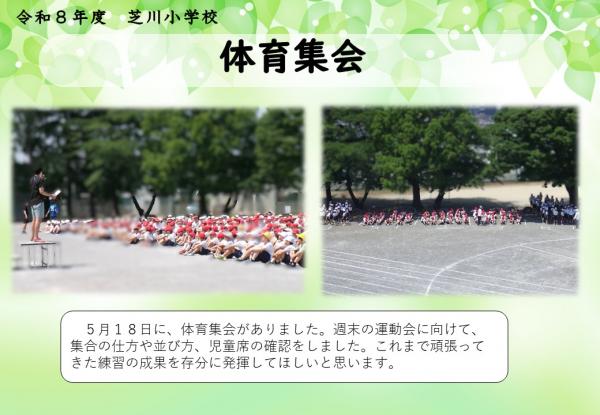 学校　体育集会