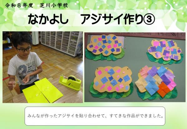 なかよし　アジサイ