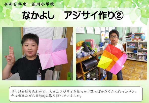 なかよし　アジサイ