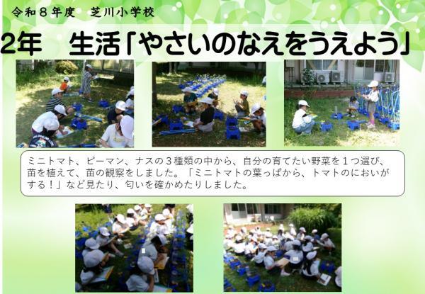 2年　生活