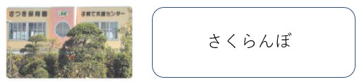 さくらんぼ