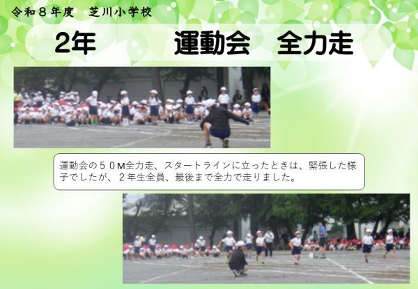 2年　運動会