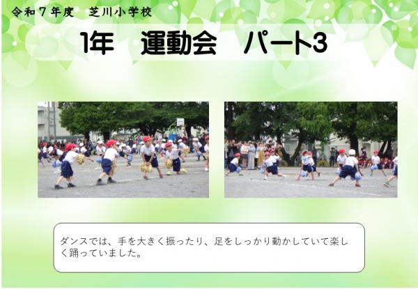 1年　運動会