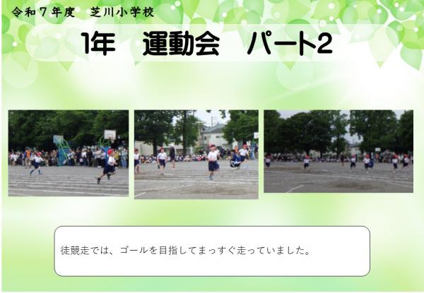 1年　運動会