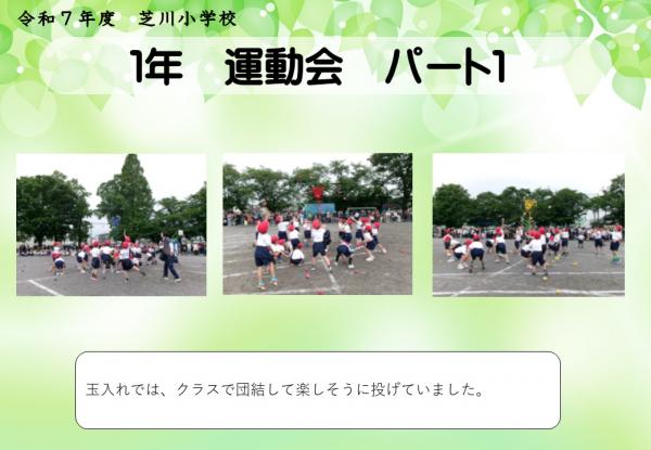 1年　運動会
