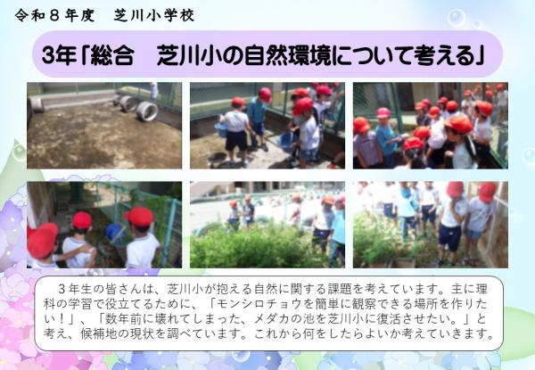 3年　総合