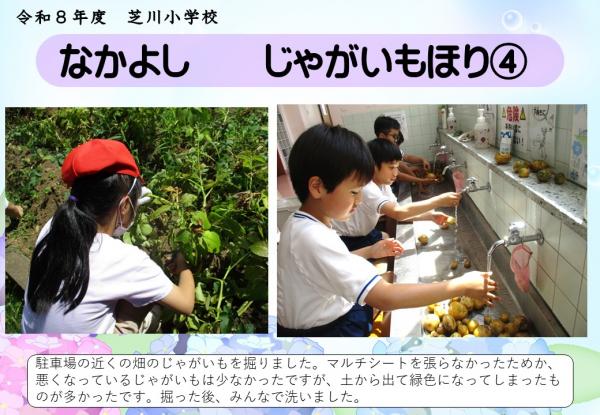 なかよし　じゃがいもほり