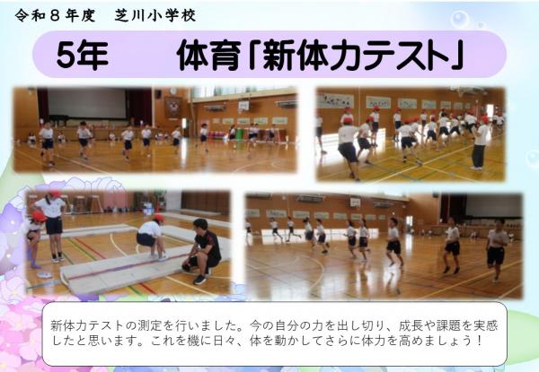 5年　体育