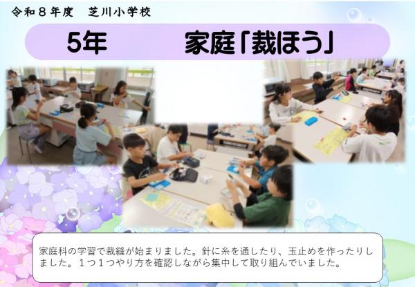 5年　家庭科