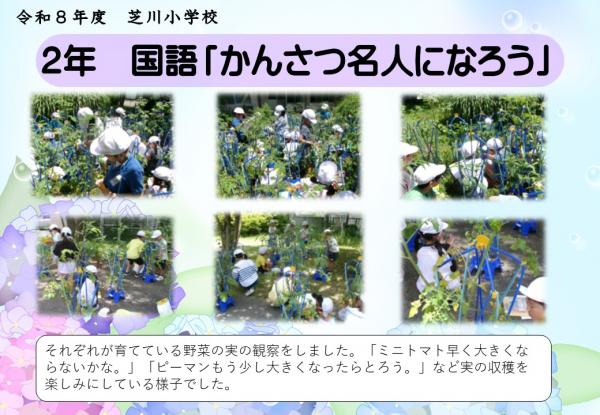 2年　国語