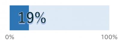 19%