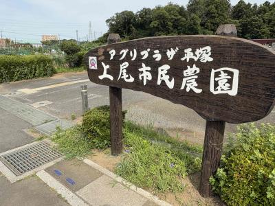 市民農園