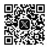 公式X