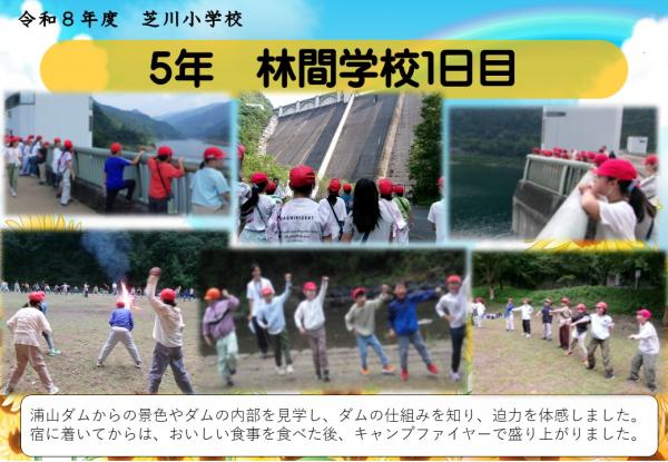 5年　林間