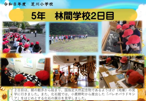 5年　林間