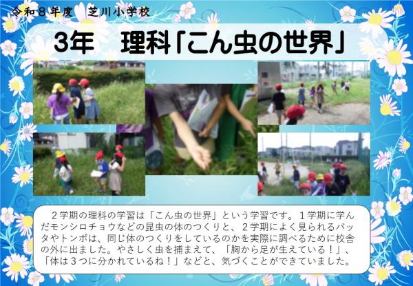 3年　理科