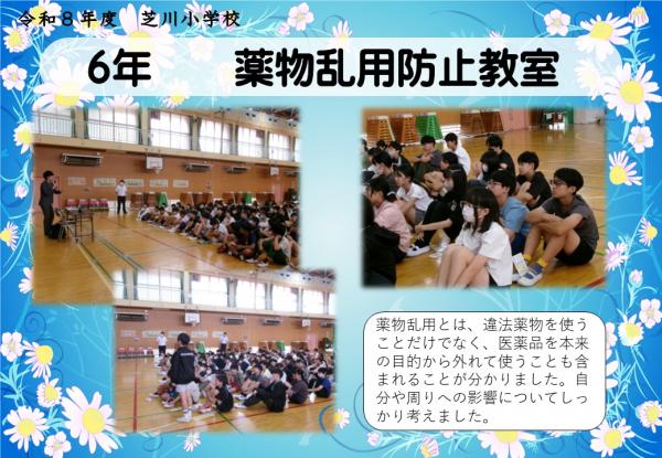 6年　薬物乱用防止教室