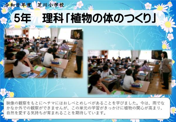 5年　理科