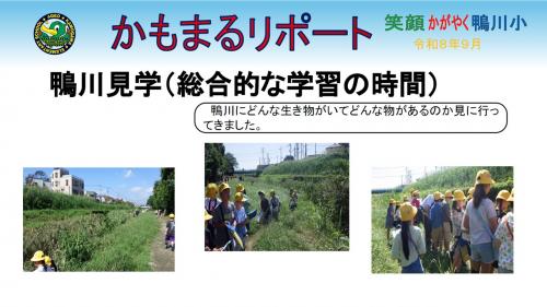 鴨川見学