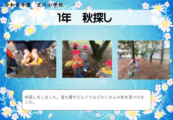 1年　秋探し