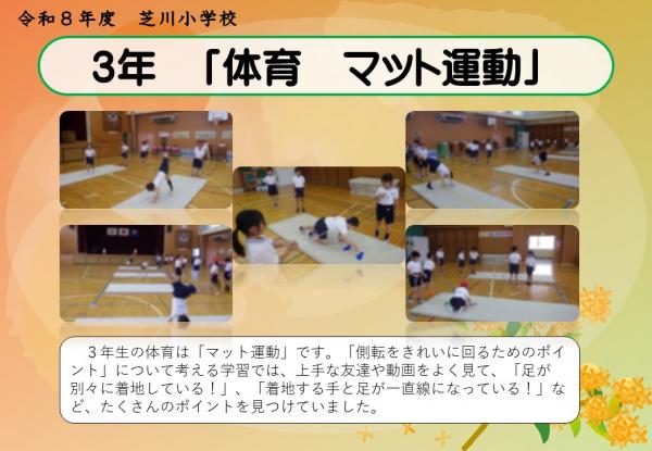 3年　体育