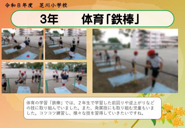 3年　体育