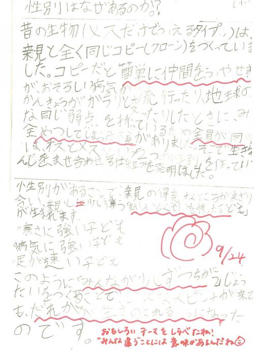 4年　理科　性別はなぜあるのか？
