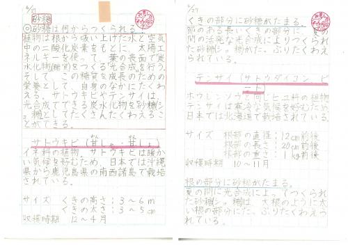 6年　理科　砂糖は何からつくられる
