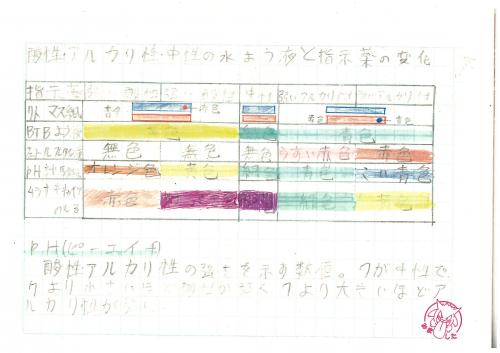 6年　理科　酸性・アルカリ性・中性