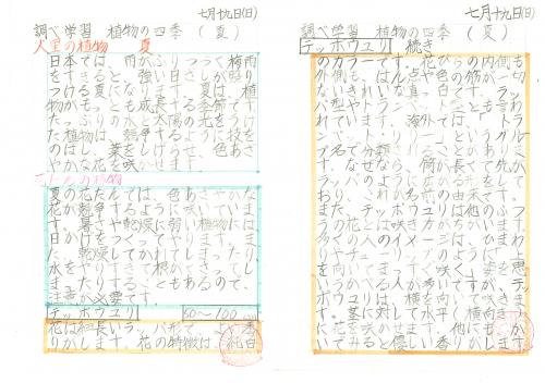 6年　理科　植物の四季