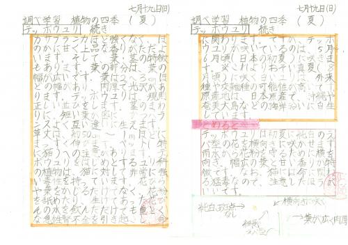 6年　理科　植物の四季の続き