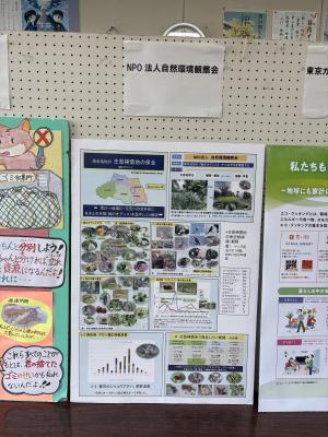 パネル