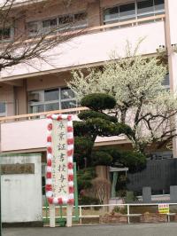 第37回上尾市立芝川小学校卒業証書授与式